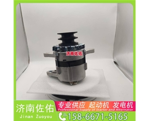 聊城4280005645起动机20409228发电机 斗山 DB/DL WP4.6 锡柴 CA4DF 斗山｜DX215｜DB58 卡特 336D2 C13 玉柴 YCK05 潍柴 WP2.3 启动机